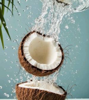 FRAGRANCE COCONUT NOIX DE COCO